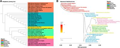 Forensic efficiencies of individual identification, kinship testing and ancestral inference in three Yunnan groups based on a self-developed multiple DIP panel